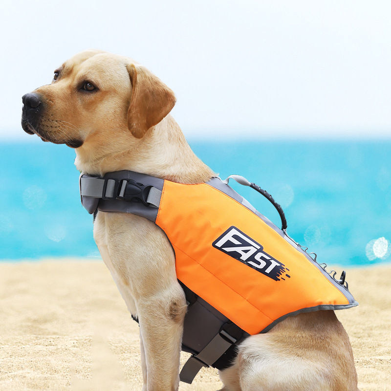 Rompi Pelampung Renang untuk A - Life Jacket ulasan dan harga